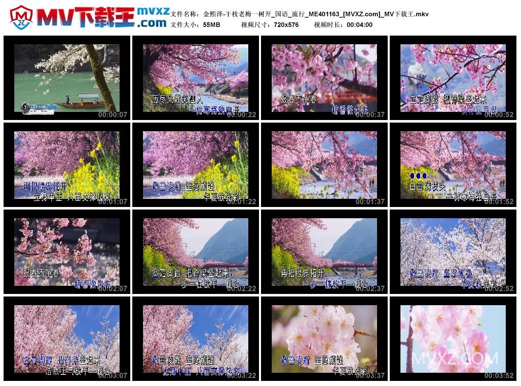 金熙泽-干枝老梅一树开_国语_流行_ME401163
